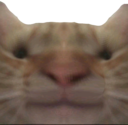 bruh emote for Discord
