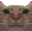 stare emote for Discord