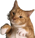 dance emote for Discord