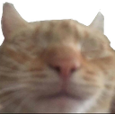 blind emote for Discord