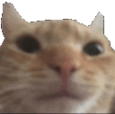 crunch emote for Discord