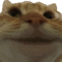 yes emote for Discord