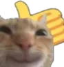 PawPawDone emote for Discord