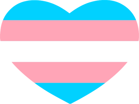 transgenderflagheart emote for Discord