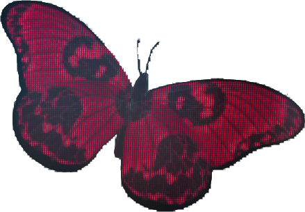 BO7butterfly emote for Discord