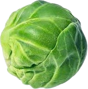 BrusselsSprout emote for Discord