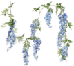 BlueWisteria emote for Discord