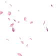 FallingPetals emote for Discord