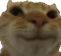 winking emote for Discord