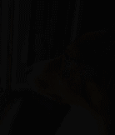 Cookedogash emote for Discord