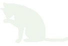 Whitekitten emote for Discord