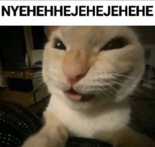 evilcat emote for Discord