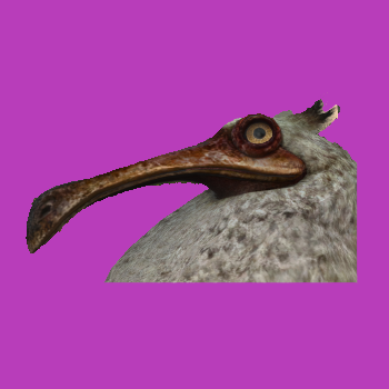 Bruh_FF14 emote for Discord