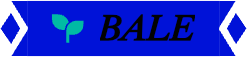 Bale emote for Discord