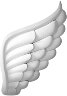wing emote for Discord