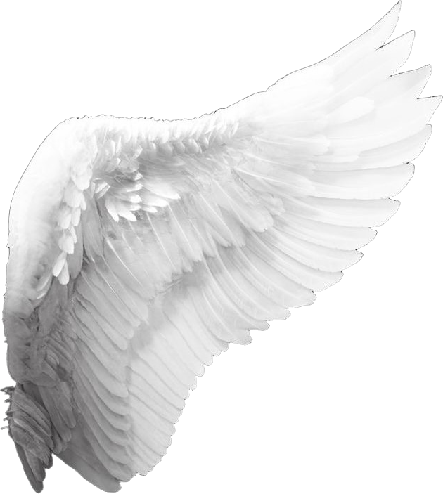 wing emote for Discord