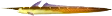 Carabina emote for Discord
