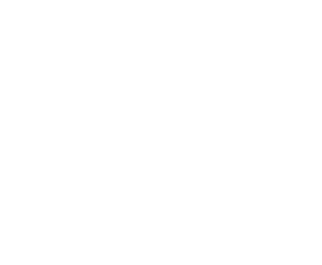 MoonPhases_IDS emote for Discord