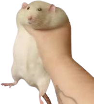 Catching_Rat static emote