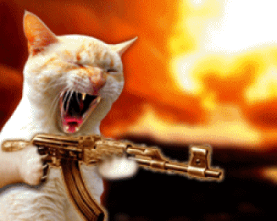 Gunkitty emote for Discord