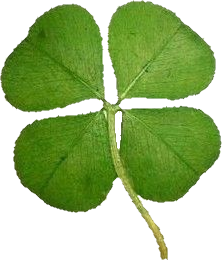 clover emote for Discord