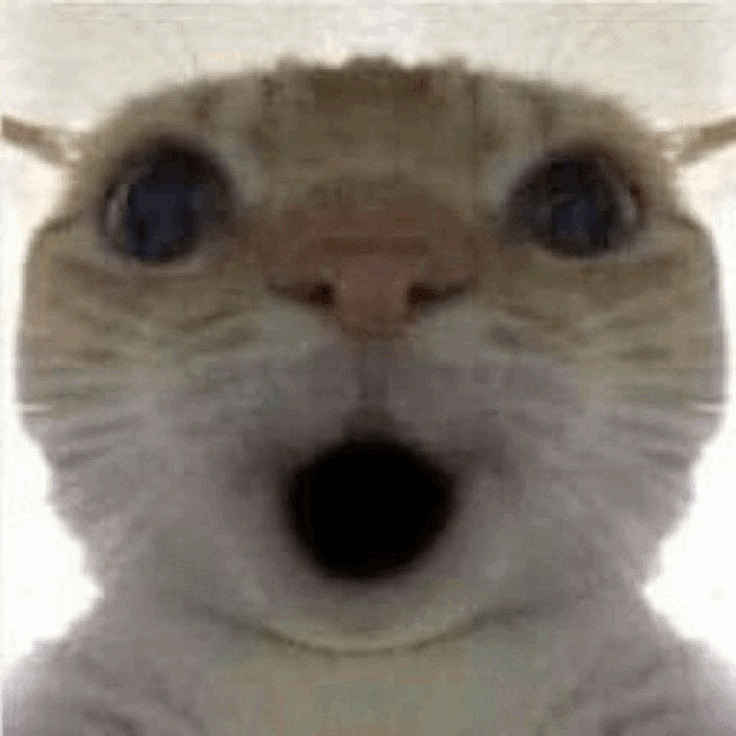 Shockedcat emote for Discord