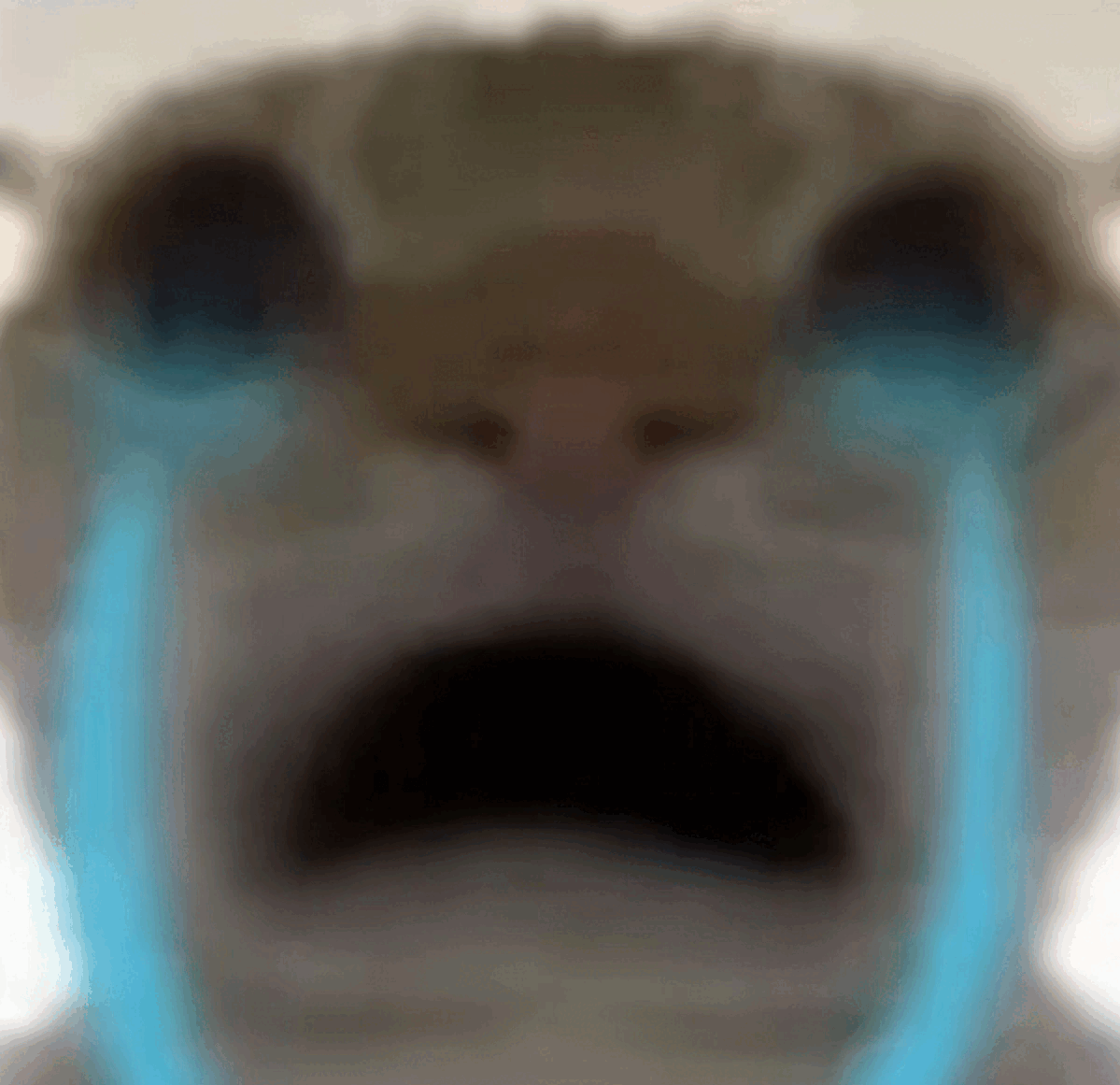 Cryingcat emote for Discord