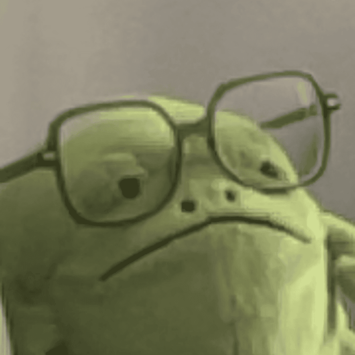 glassesfrog emote for Discord
