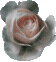 RoseClassic emote for Discord