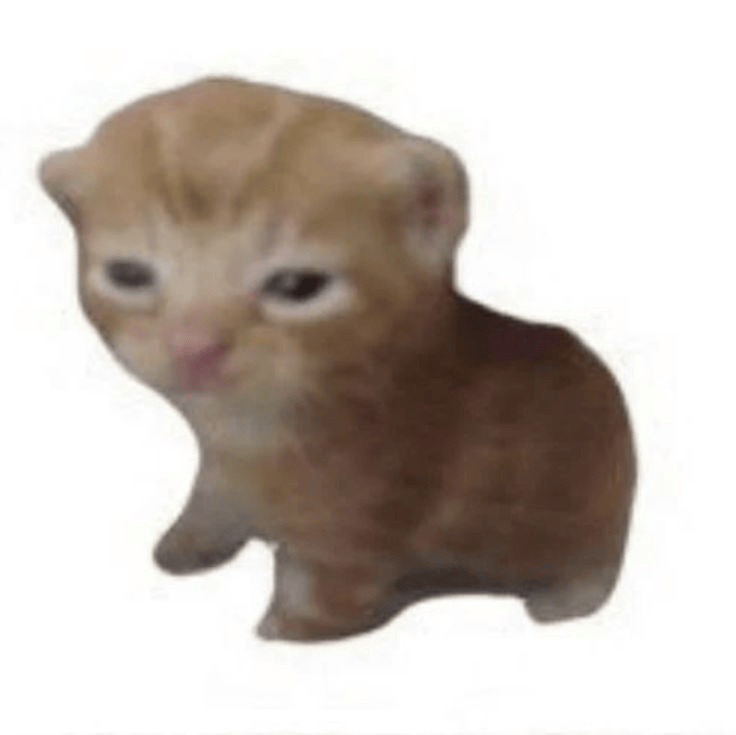CutePettitCat emote for Discord