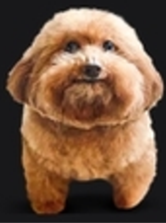 WatonElotero emote for Discord