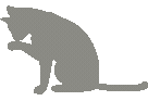 Graykitten animated emote