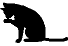 Black_kitten emote for Discord