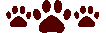 Burgyndycatpaws emote for Discord