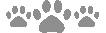 Graycatpaws emote for Discord