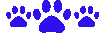 Bluecatpaws emote for Discord