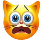 Scaredcat emote for Discord