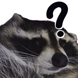 Racoonhuh emote for Discord