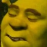 Shrektiied emote for Discord