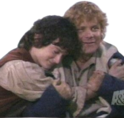 frodosam_hug emote for Discord