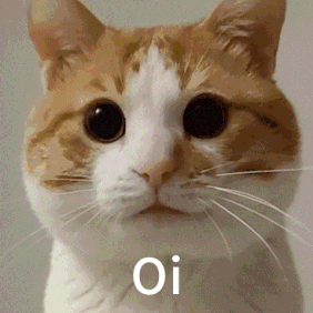 cat emote for Discord