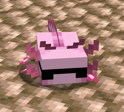 AxolotlHuff emote for Discord