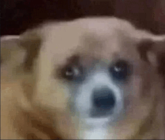 uhm emote for Discord