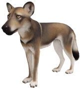EcosResonantCoat emote for Discord