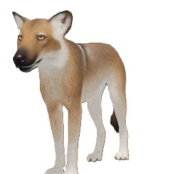 EcosAridCoat emote for Discord
