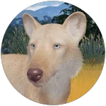 EcosLeucisticCoat emote for Discord