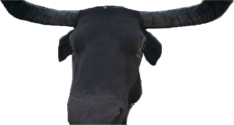 lehma static emote