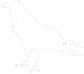 Crow emote for Discord