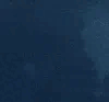 league_pinguin emote for Discord