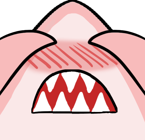 shark emote for Discord